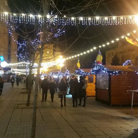 Apartament Piata Victoriei Apartment *