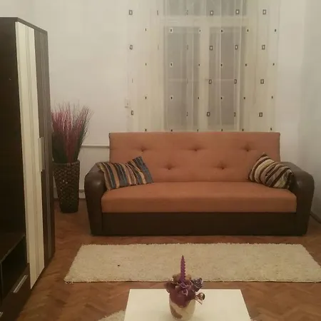 Apartament Piata Victoriei Timisoara